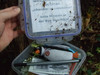 Cache
