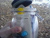 Cache