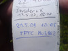 Logbuch