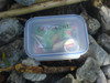 Cache