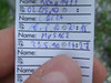 Logbuch