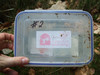 Cache