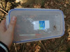 Cache