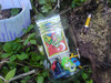 Cache