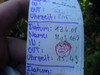 Logbuch