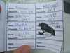 Logbuch