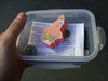 Cache