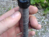 Cache