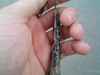 Cache