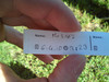 Logbuch