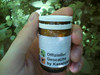 Cache