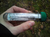 Cache