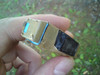 Cache