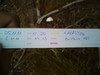 Logbuch
