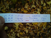 Logbuch