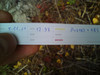 Logbuch