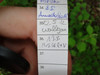 Logbuch
