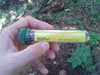 Cache