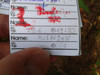 Logbuch
