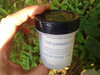 Cache