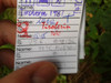 Logbuch