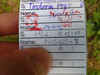 Logbuch