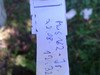 Logbuch