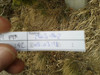 Logbuch