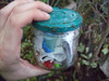 Cache