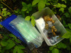 Cache